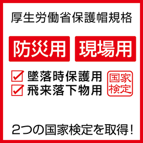 IZANO2_05_iPROS.jpg