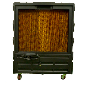 2024 疾風　背面　1000pic.jpg