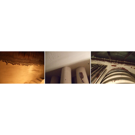 IPROS3754405131584595708.png
