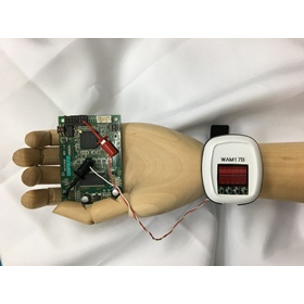 Wearable_resize280.JPG