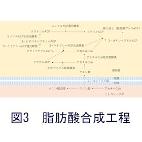 図3.png