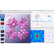 CrystalMaker_0.png