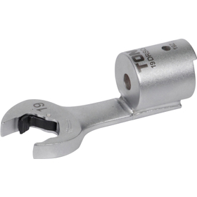 19DRSQ-19.jpg