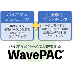 WavePAC説明.jpg