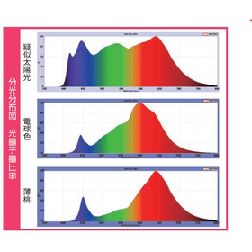 分光分布図3種.jpg