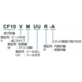 CFA_形式.jpg
