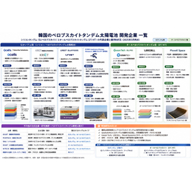 韓国_Si＆全ぺロタンデム企業一覧.jpg