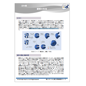 酵素の失活カタログimg.png