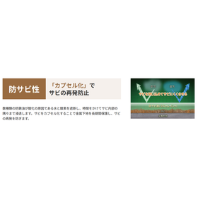10a.png