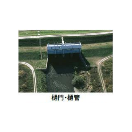 3.PNG