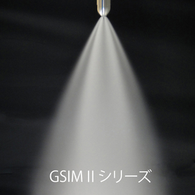 GSIM2.jpg