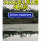 藻の駆除.png