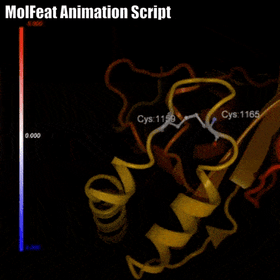 MolFeat3_.gif