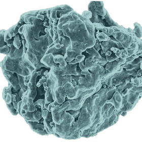 Somaloy particle.png