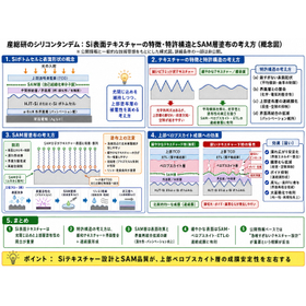 産総研SiタンデムSiテキスチャー29.jpg