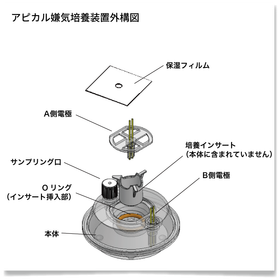 アピカル嫌気_外構図_202608.png