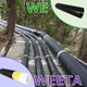 (上水)WE300・WEETA W150.png
