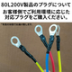 80L200Vplug.jpg