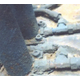 image_11.png