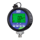 Digital_gauge_E2_datalogger.png