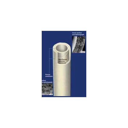 image_02.png