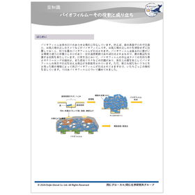 バイオフィルム生成過程カタログimg.png