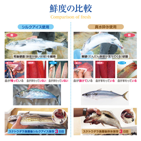 鮮度比較.jpg