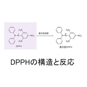 DPPHの構造と反応.png