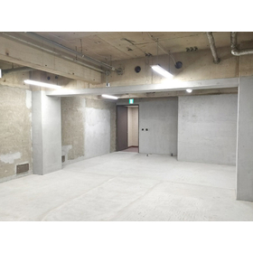 ?スケルトン天井とは 画像3.jpg