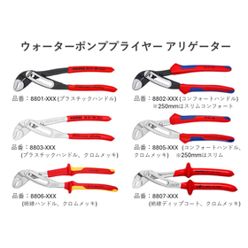 アリゲーター表.jpg
