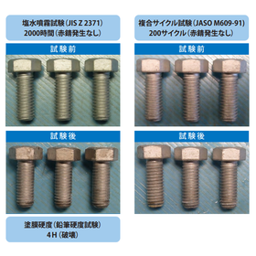 ニュー ラスパート2.png