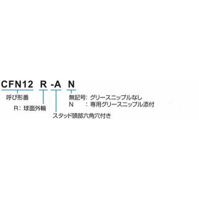 CFNRA_形式.jpg