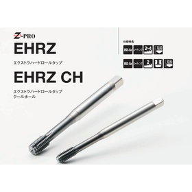 EHRZ_EHRZ CH_2.png