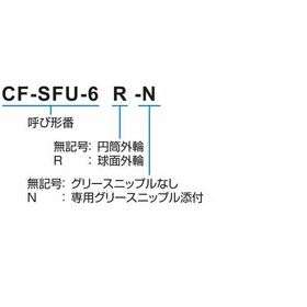 CFSFU_形式.jpg