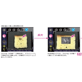 スクリーンショット 2025-09-04 150236.png