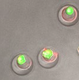 nanovial.png
