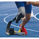 Prosthesis.jpg