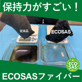 【太田25070301】【ECOSAS】.png
