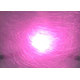image-1.png