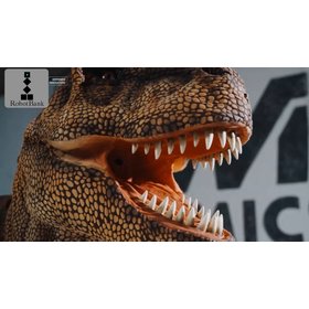 04_head_detail_07s.png