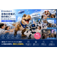 图片_20260924162951_759_15.png