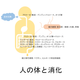 人の体と消化.png