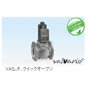 VAS3.png