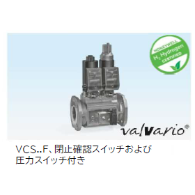 VAS4.png