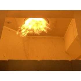 20220913_082648159_iOS 1.jpeg