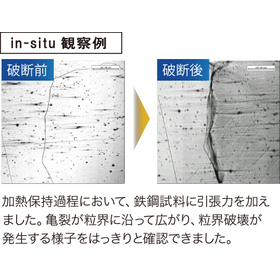 T3H観察例.jpg