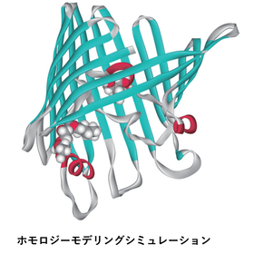 homology.png