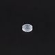 DSC06156-2-2.jpg