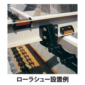 ローラシュー_02.jpg