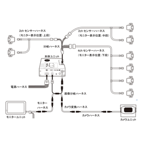 sap-28.gif